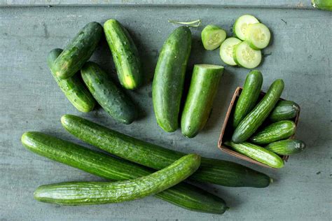 Growing Cucumbers For Salads And Pickles Better Homes And Gardens