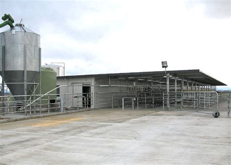 Herringbone Milking Systems Read Industrial Ltd