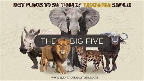 African Big Five Animals Best Places To See Them In Tanzania Safari