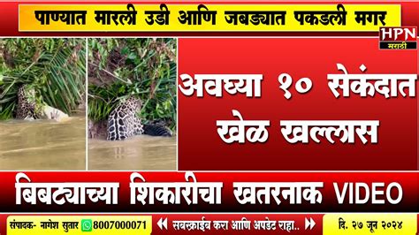 अवघ्या १० सेकंदात खेळ खल्लास पाण्यात मारली उडी अन बिबट्याच्या