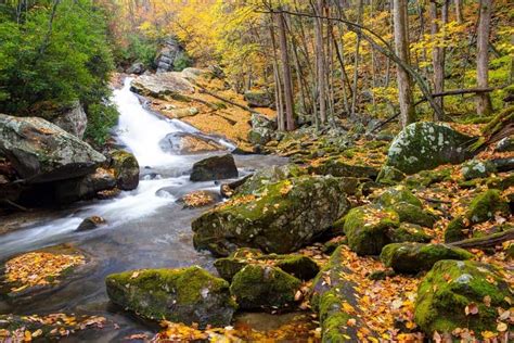 Great Smoky Mountains National Park Breaks Visitor Record
