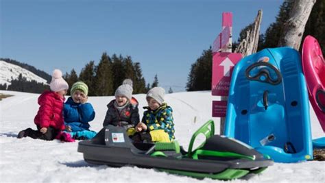 The 8 Best Places You Can Buy Sleds And Snow Tubes