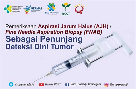Pemeriksaan Aspirasi Jarum Halus Ajh Fine Needle Aspiration Biopsy