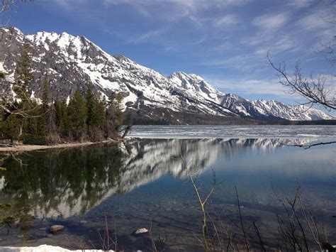 Grand Teton National Park And Yellowstone National Park In Mid May