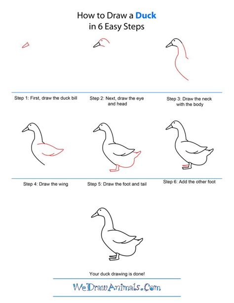 How To Draw A Duck How To Draw A Duck Quick Step By Step Tutorial