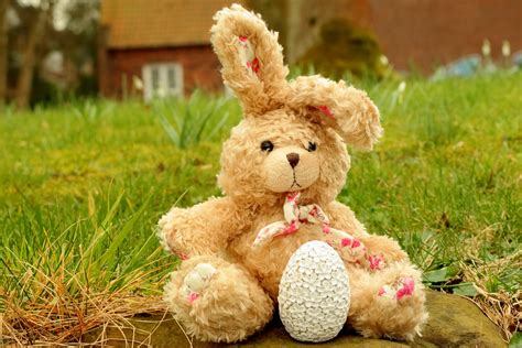 Easter Egg Bunny Wallpaper Hd Holidays 4k Wallpapers Images Photos