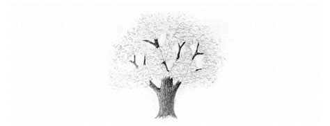 1 como dibujar un árbol paso a paso bien fácil. Cómo dibujar árboles a lápiz para que se vean realistas