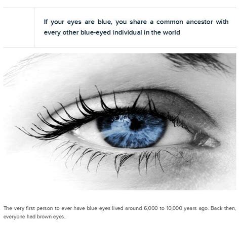 Not Sure If Its True But Very Interesting Eye Facts Blue Eye Facts