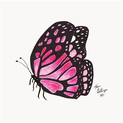 Pink Butterfly Drawing by Kevin Dellinger