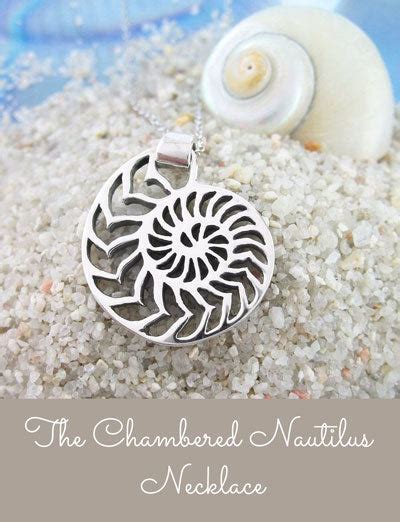 Nautilus Shell Meaning And Symbolism Nautilus Shell Sacred Geometry