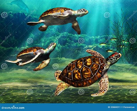 Sea Turtles Stock Illustration Illustration Of Fish 33684311