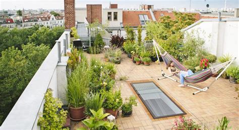 sejuk banget    desain rooftop garden