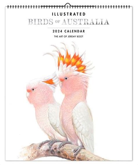 Buy Birds Of Australia Art Of Jeremy Boot 2024 14 X 12 Inch Monthly