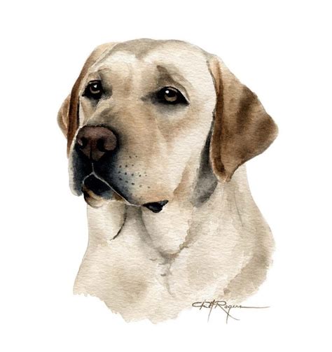 Labrador Retriever Art Print By Watercolor Artist Dj Rogers Etsy