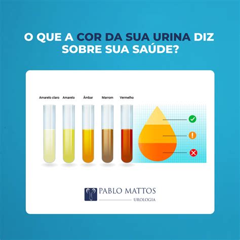 Macrodantina Muda A Cor Da Urina