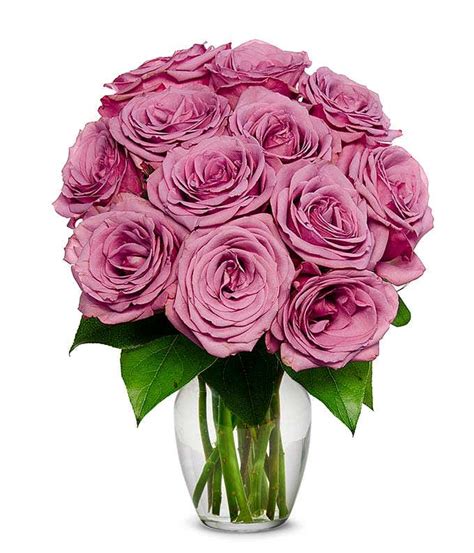 One Dozen Purple Roses At From You Flowers