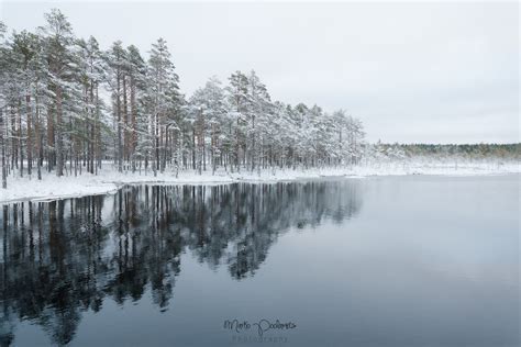 Winter In Estonia Capture Estonia Nature And Photography Tours