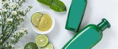 En İyi 17 Bitkisel Şampuanlar ile Saç Sağlığınızı Koruyun