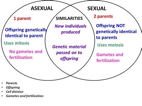 Venn Diagram Of Sexual And Asexual Brainly Ph
