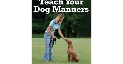 New Title Teach Your Dog Manners Your Dog