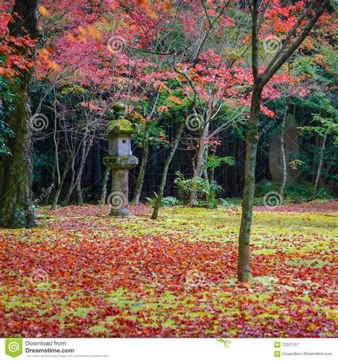 Colorful Autumn At Koto In Temple In Kyoto Stock Image Image Of Maple