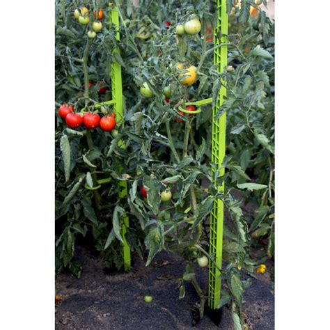 Tuteur à Tomate 180 M Jardin Et Saisons