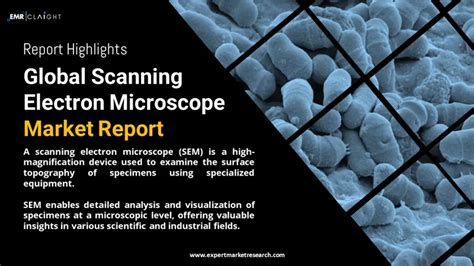 Scanning Electron Microscope Market Size And Forecast 2032