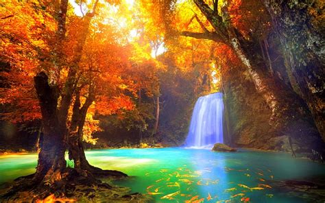 Cool Waterfall Fall Autumn Stunning Attractions In Dreams Bonito