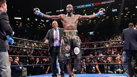 What We Learned From Deontay Wilders 1st Round Knockout Of Dominic