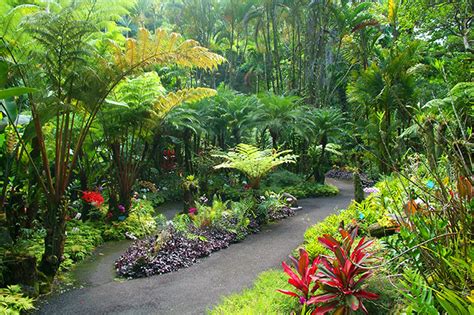 I love taking visitors there and it keeps evolving. Hawaii Tropical Botanical Garden - Virtual Tour ...