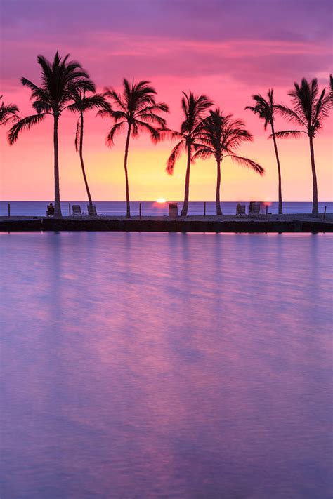 Anaehoomalu Sunset Colorful Sunset With Palm Trees At Anaehoomalu Hawaii Island Photograph