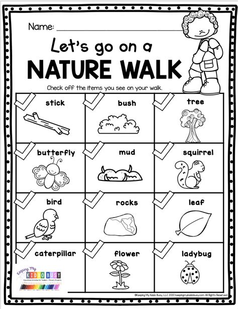 Nature Walk Worksheets