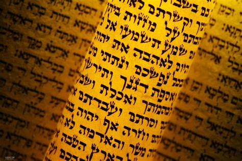 Hebrew Torah Scroll With Glowing Light Photos Portfolio
