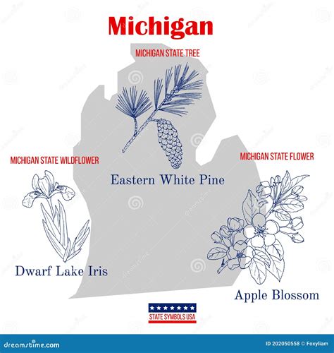 Michigan Set Of Usa Official State Symbols Stock Vector Illustration