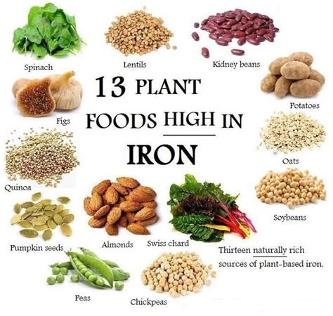 Optavia Discover 11 Vegetarian Foods That Are High In Iron You Should