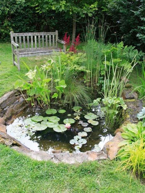 Inspiring Small Fish Pond Designs To Upgrade The Outdoor Landscape For
