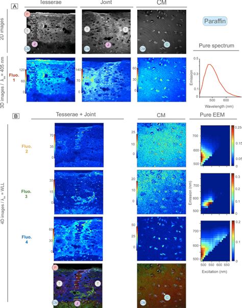 Distribution Maps And EEM Of Fluorescence Signatures Detected By