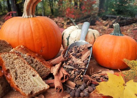 Check spelling or type a new query. Pumpkin Spice origins, ingredients and trend in the ...
