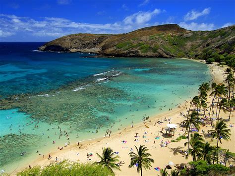 Hanauma Bay Beach Oahu Hawaii Ultimate Guide April 2024
