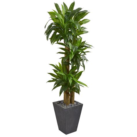 Nearly Natural Real Touch 55 Ft Indoor Cornstalk Dracaena Artificial