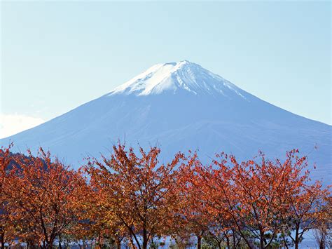 Fuji Fuji Fuji Fuji Encyclopedia Of World Photo