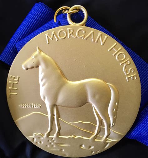 American Morgan Horse Association 2018 Amha Gold Medal Winners Named