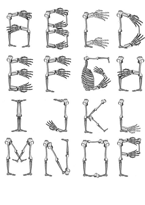 12 Bone Fonts For Word Images Skeleton Bones Font Letters Bone Fonts