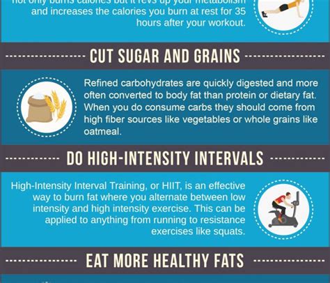 Fastest Way To Lose Body Fat Infographic Best Infographics