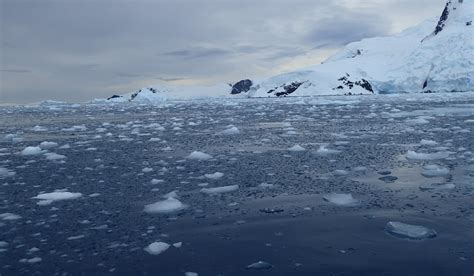 Cierva Cove Antarctica