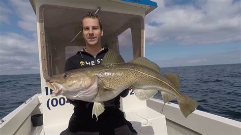 Langeland angel informationen has 1,854 members. Spodsbjerg Langeland 2017 - SDM Fishing (Dänemark Dorsch ...