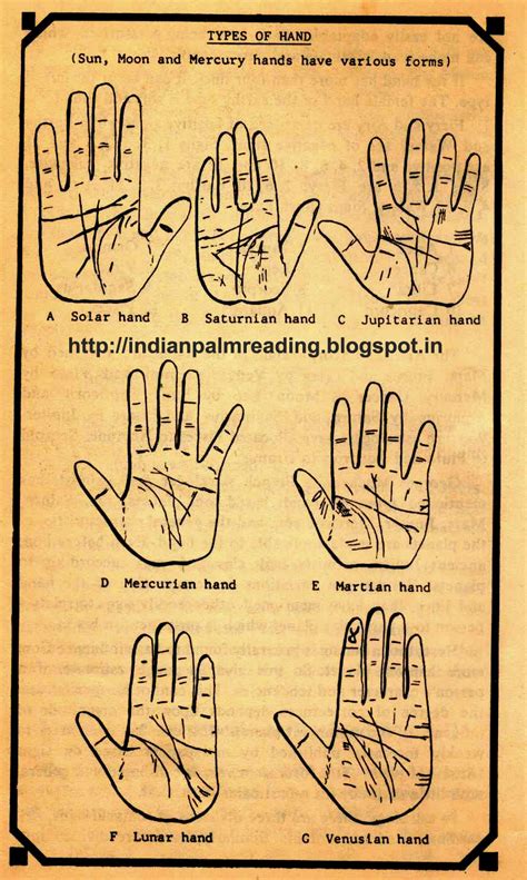 Types Of Hands In Palmistry Indian Palm Reading Hast Rekha Totke