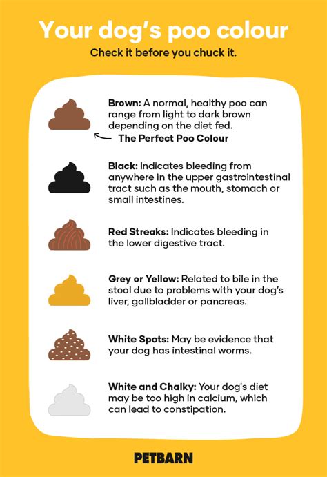 Stool Quality Chart For Dog Poop Stool Quality Chart For Dog Poop