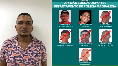 Se Entregó Tres Perras Uno De Los Más Buscados En Fundación Santa Marta Al Día