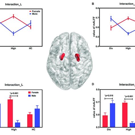 Results Of Main Effect Of Sex Brain Regions Influenced By Main